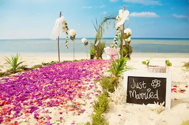 Plan your dream wedding and honeymoon